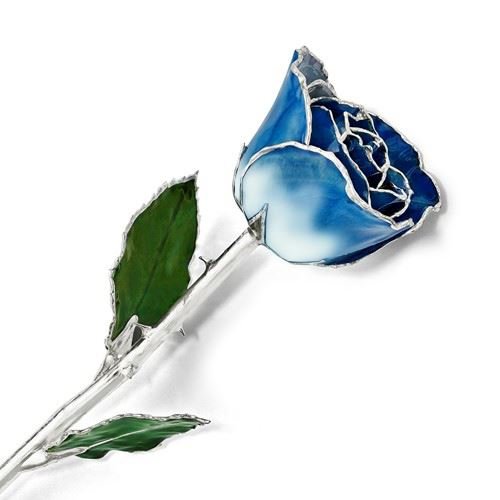 Picture of Platinum Blue White Rose